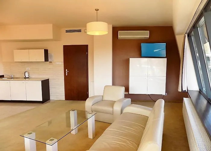 Panoramic 扎科帕内